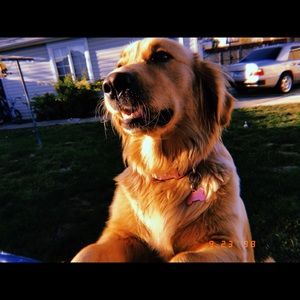 Meet your Posher, Karolina